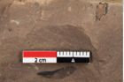 Foto (Detailansicht) von Pinus hepios Unger (NHMW-GEO-2024-0188-0223)